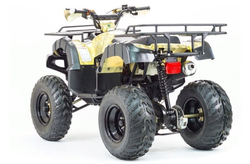 Квадроцикл MOTOLAND 250 Adventure (2021 Г.)