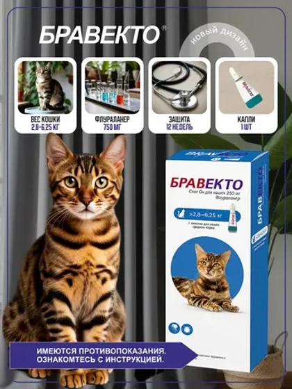 Капли Бравекто для кошек 2,8 - 6,25 кг