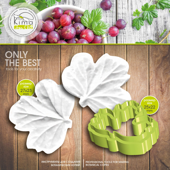 Крыжовник лист маленький