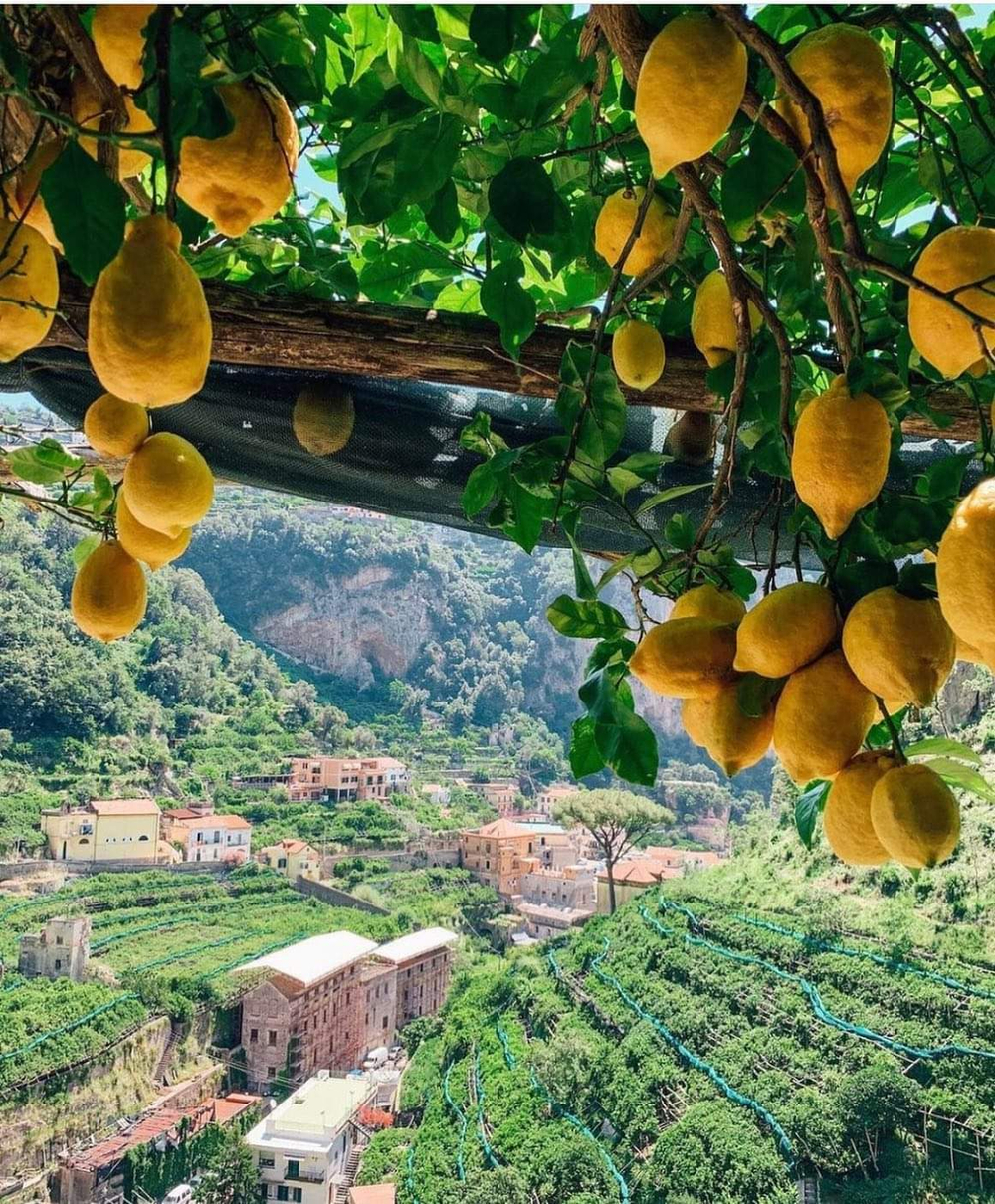 Оливковое масло нерафинированноеVAFIS Extra Virgin ЛИМОН от NIKITAKIS в стекл. бут. 250 мл, Греция