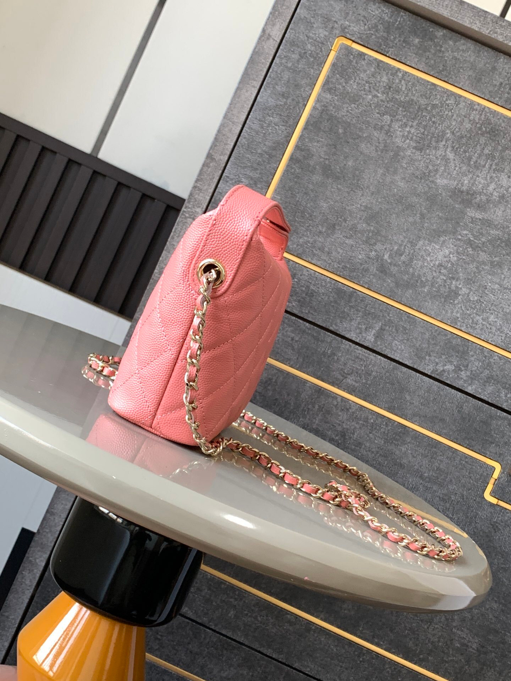 Chanel Bag 21 cm