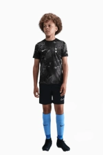 Футболка Nike Tottenham Hotspur 25/26 Academy Pro Junior - черный