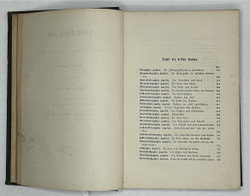 HENRY LANSDELL Russisch Central-Asien - Русская Центральная Азия в 2-х книгах.. Изд. Лейпциг, 1885г.