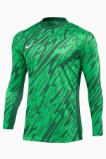 Вратарская кофта Nike Dri-FIT Gardien V - зеленый