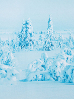 Постельное белье 1 5 спальное, бязь, 100% хлопок, 1 наволочка 70х70