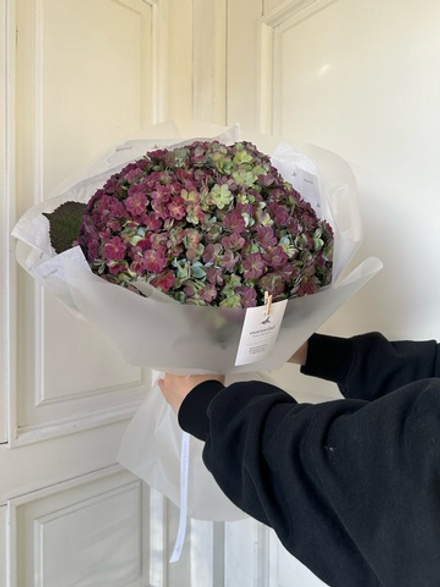 Букет из гортензии в темном оттенке