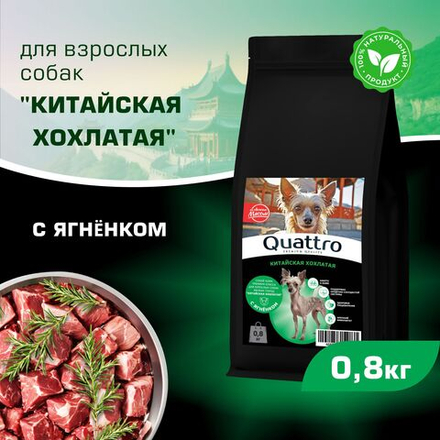 Корм сухой для взрослых собак породы Китайская хохлатая, с ягненком, 800 гр, QUATTRO