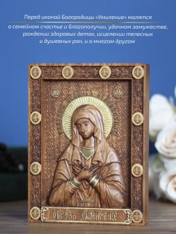 Умиление икона Божией Матери, 19.5х14.5 см