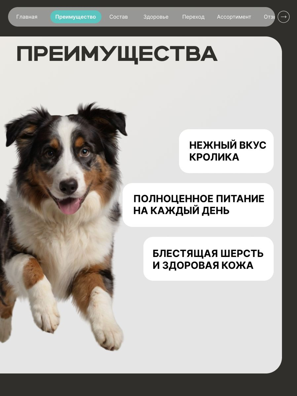 Корм сухой для средних и крупных собак, полнорационный сбалансированный, с кроликом, 3 кг, QUATTRO