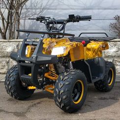 Квадроцикл YACOTA Smarty 110