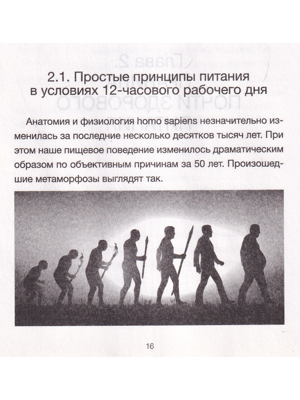 Здоровье без фанатизма:36 часов в сутках