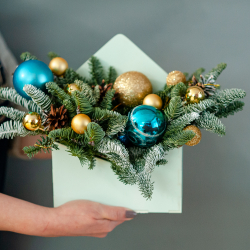 Новогодняя композиция из нобилиса 1