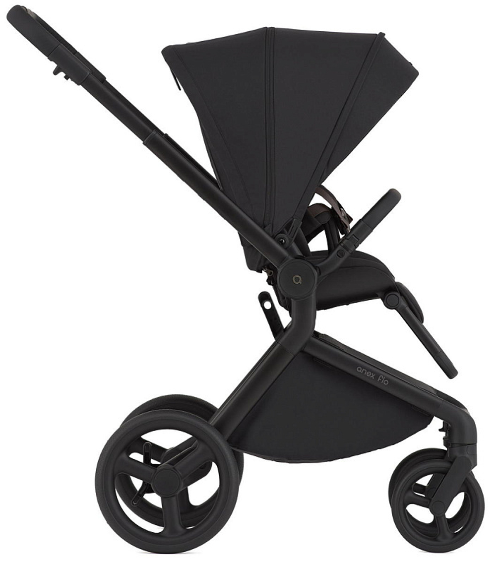 Детская коляска Anex Flo 2 в 1 Lungo