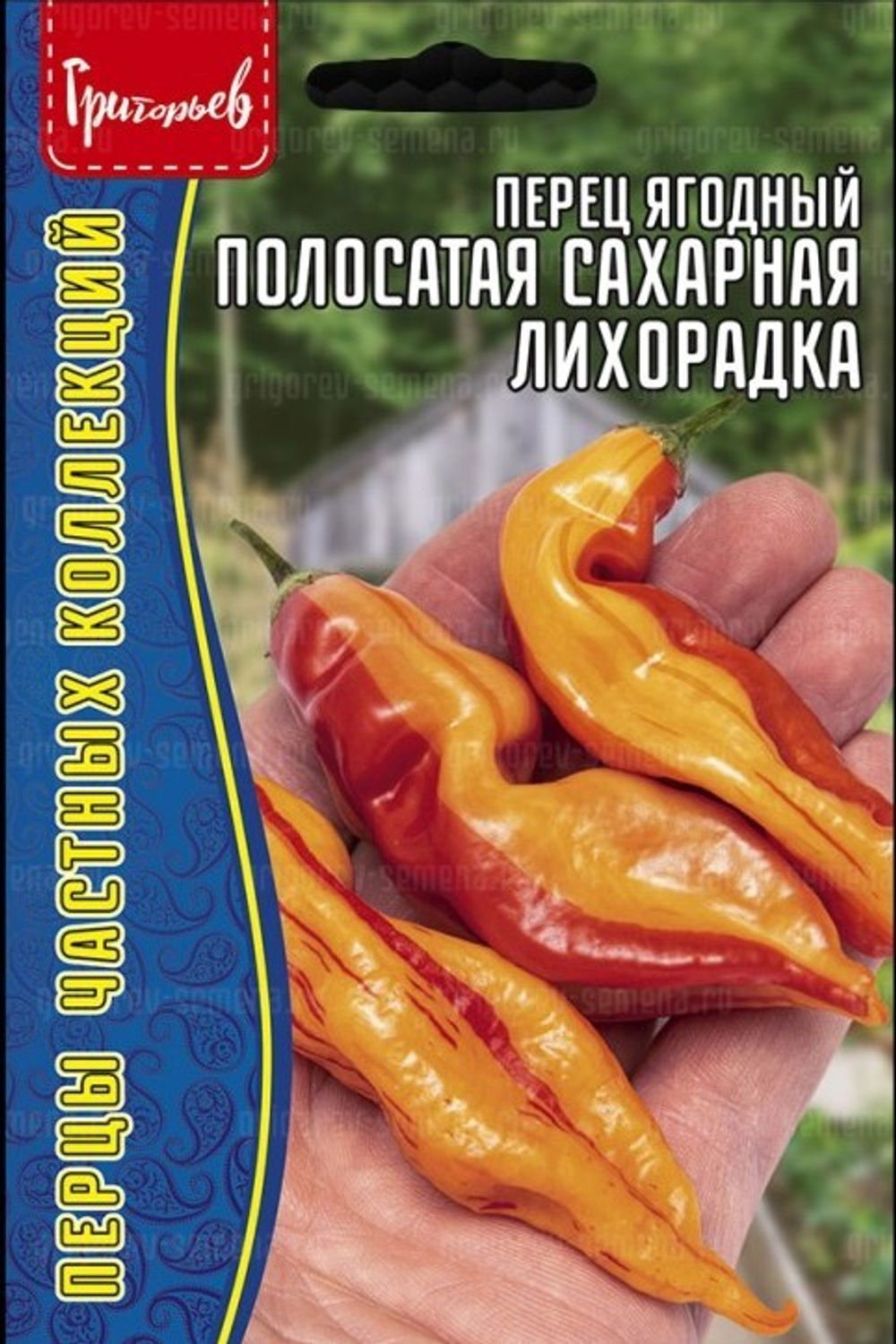 Перец ягодный Полосатая сахарная лихорадка