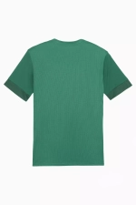 Футболка Puma teamGOAL Matchday