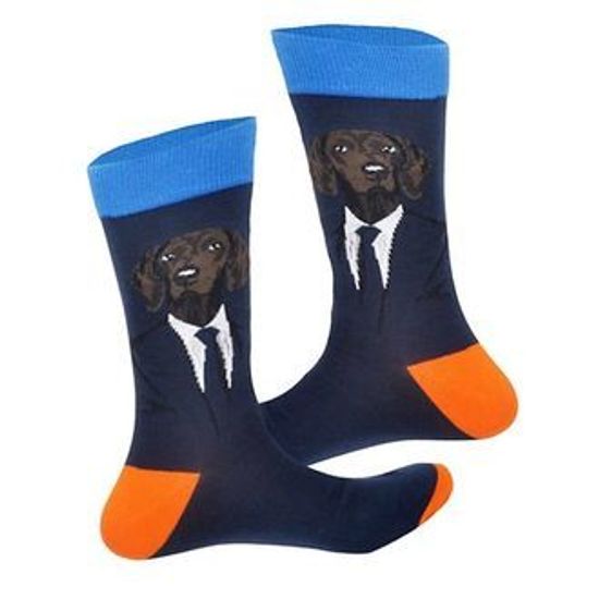 Носки "Босс Пёс", р-р 40-46 (темно синий, оранж)