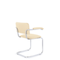 Стул Сильвия АРМ СН S-0428 (бежевый)
