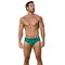 Мужские плавки зеленые Clever Moda MALIBU SWIMSUIT BRIEF 155610