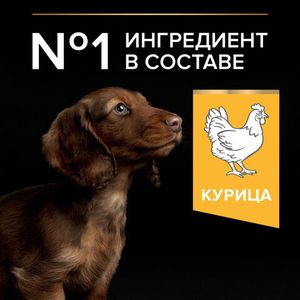 Сухой корм Pro Plan для щенков мелких и карликовых пород, с высоким содержанием курицы
