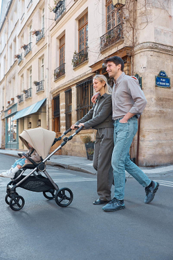 Детская коляска Anex iQ Premium NT 2 в 1 iQ-13-DNA seal