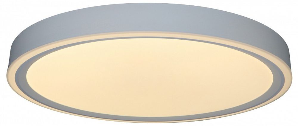 Накладной светильник Zortes Bella ZRS.1200.07