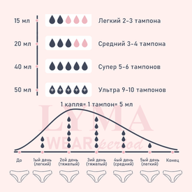 Как выбрать менструальные трусики под свой цикл: простой гайд