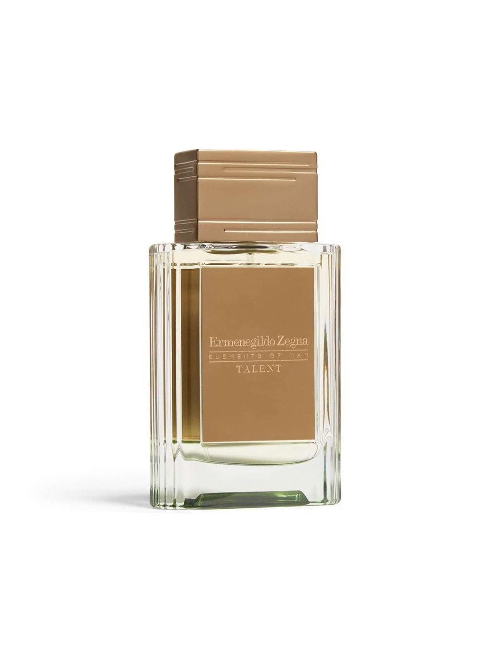 Ermenegildo Zegna Talent