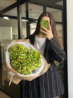 Моно букет из гортензии зеленого оттенка