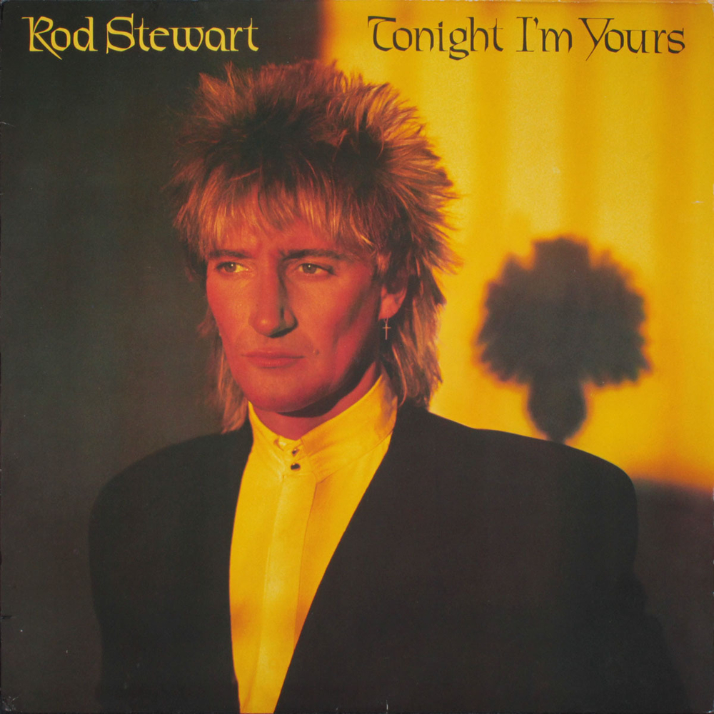 Rod Stewart / Tonight I'm Yours (LP)