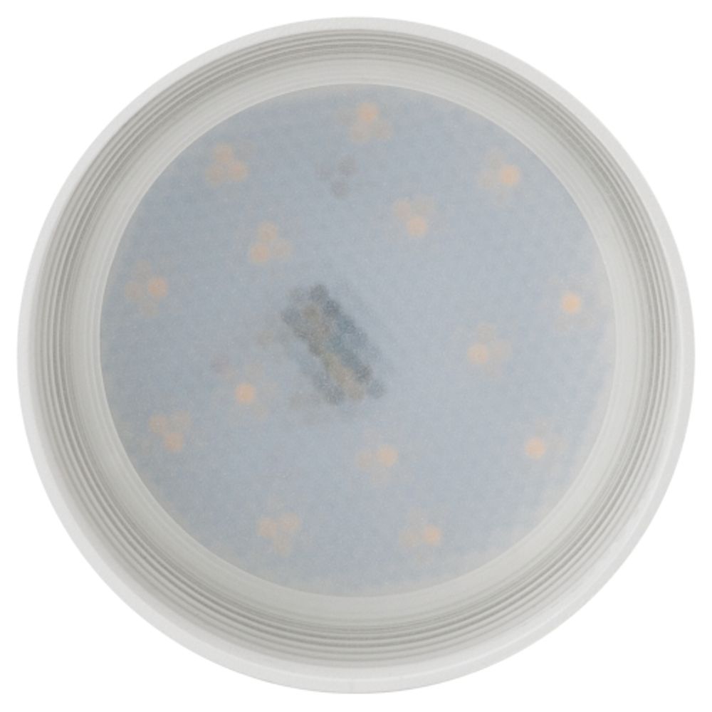 Светильник накладной ЭРА OL9 GX53 WH/WH под лампу GX53 белый | Накладные светильники