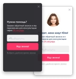 Виджет "Обратный звонок" компании Envybox