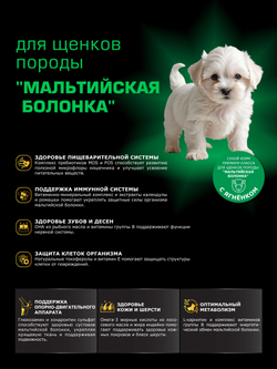 Quattro корм для щенков породы Мальтийская болонка, с ягненком, 6 кг, QUATTRO