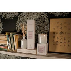 Свеча ароматическая The Olphactory, White Insignia, Mystique Boughs, 60 ч