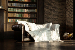 Одеяло верблюжье 140х205 German Grass Camel