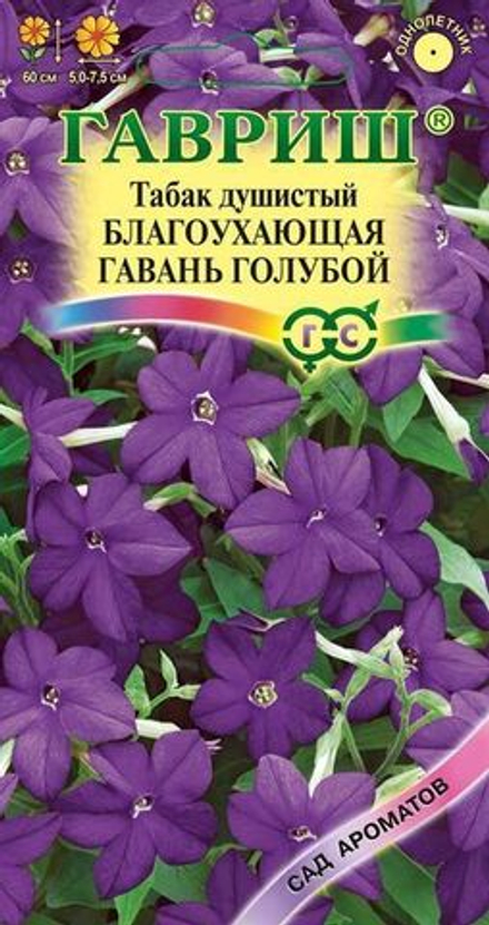 Табак душистый Благоухающая гавань голубой F1 5 шт Гавриш