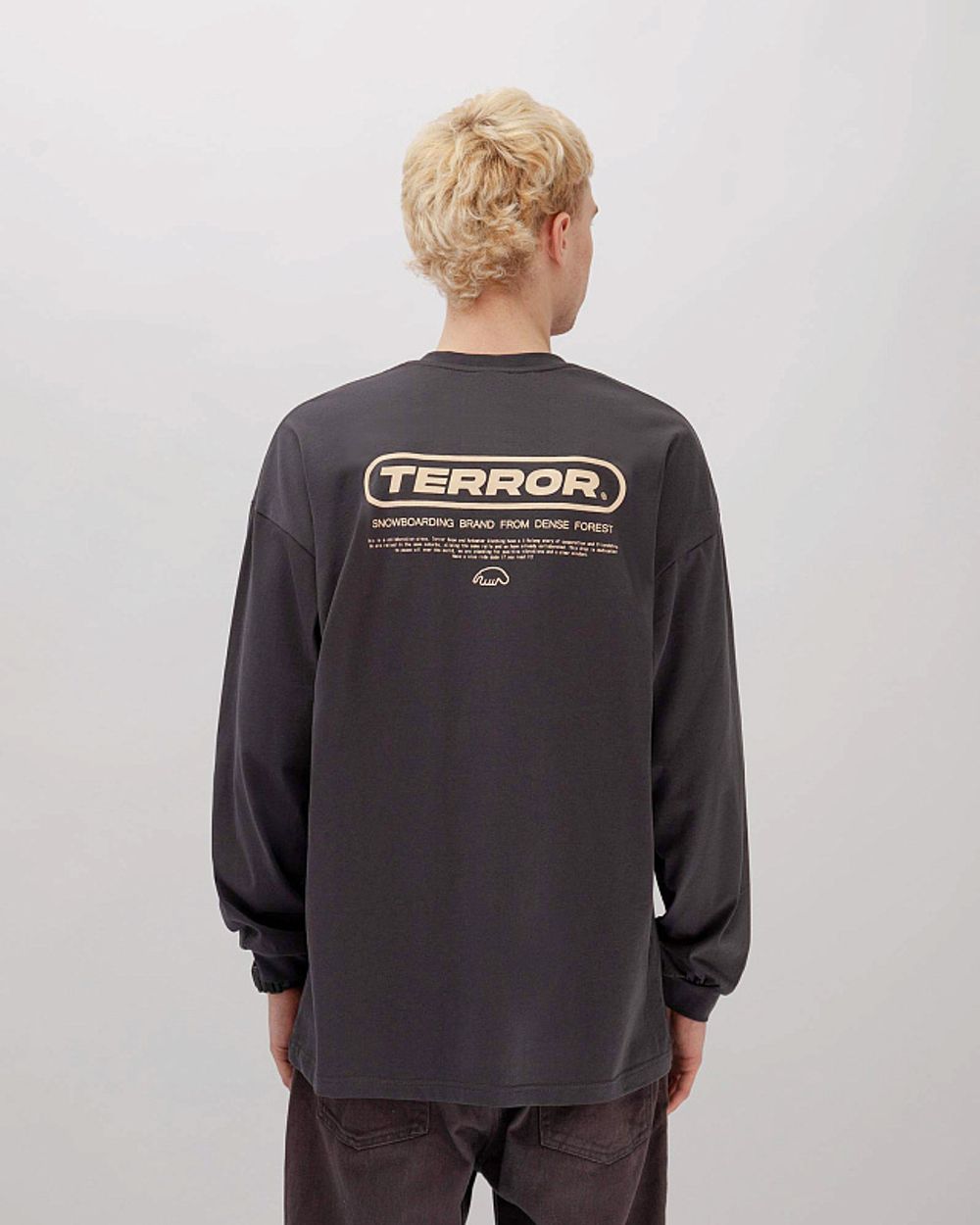 Лонгслив Anteater x Terror Snow Серый