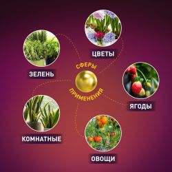 Фитолампа для растений светодиодная ЭРА FITO-36W-RB-E27-FOLD 4-х лепестковая красно-синего спектра 36 Вт Е27