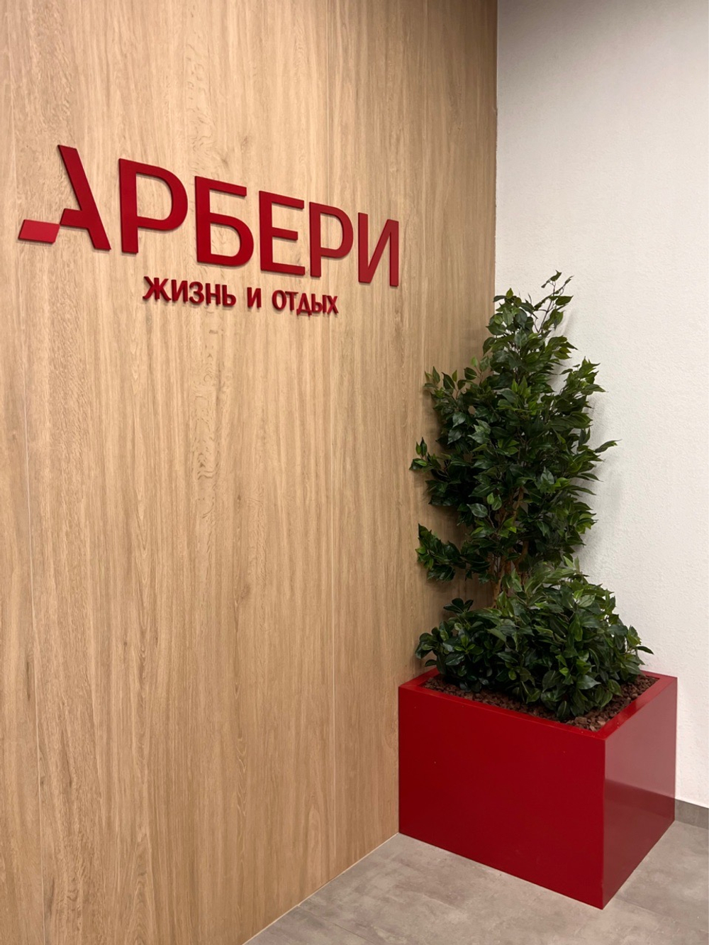 Фикус Бенджамина Новый 180 см.
