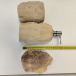 Набор из окаменелого дерева 4 предм Fossil Set NF-63068 поднос 27см*38см