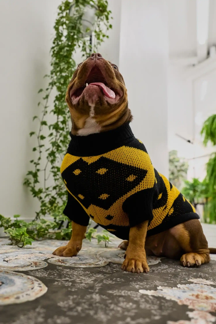 Для собачки