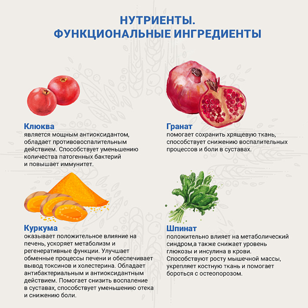 Ветеринарная диета CRAFTIA GALENA DOG JOINT & MOBILITY CARE Джоинт энд Мобилити для собак при заболевании суставов 2 кг