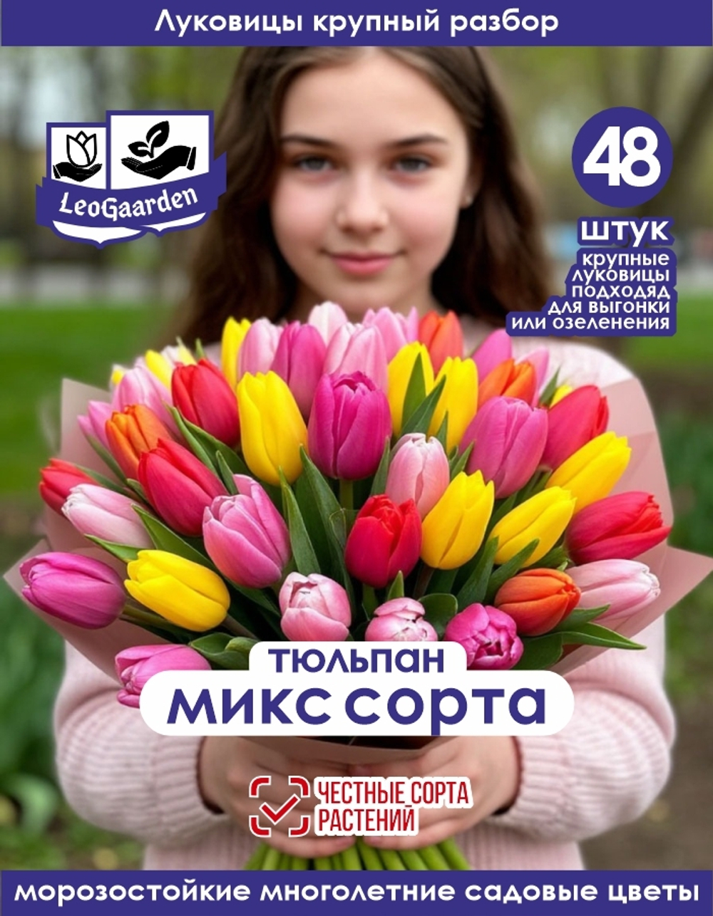 Тюльпан Луковица, Микс сортов, 48шт крупные