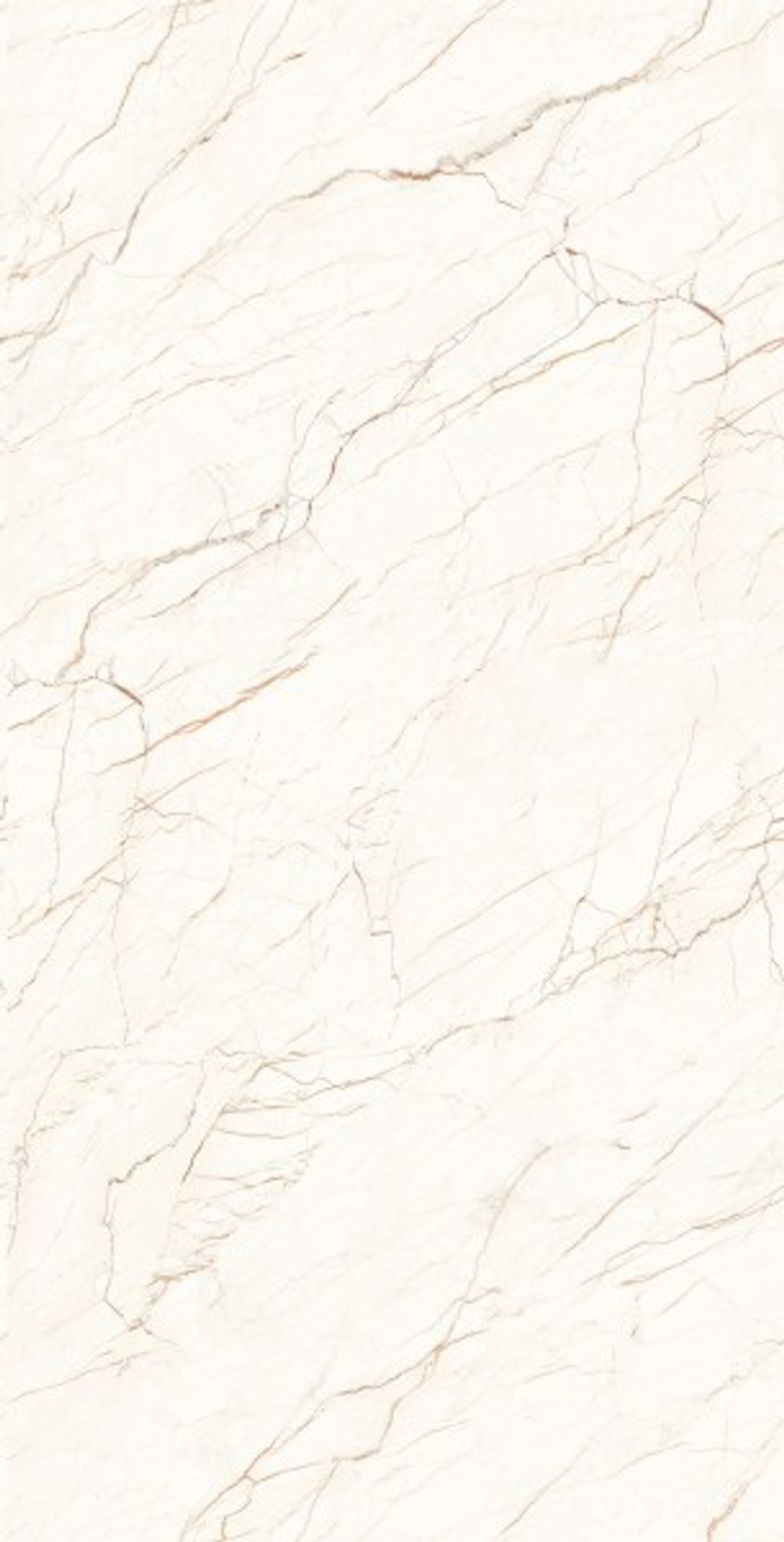 CEASAR LAPPATO CL4001-A