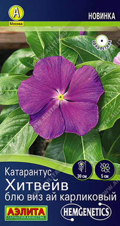 Катарантус Хитвейв блю виз ай карликовый 5 шт (Аэлита)