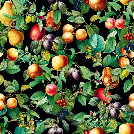 Gloockler Pompoos Provence