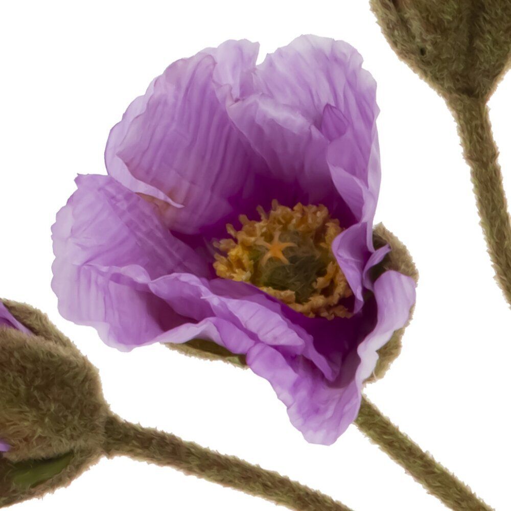 GAEM Цветы искусственные "Букет маков", L14 W12 H52 см