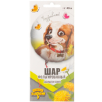 Фольгированный шар «Поздравляю. Собака с цветком», 46 см