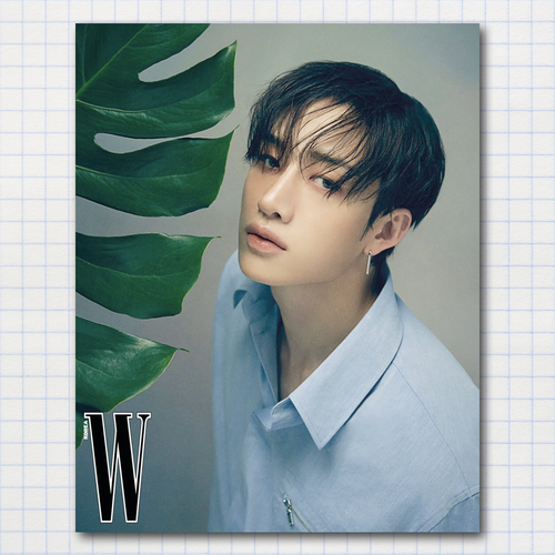 Постер #0154 / STRAY KIDS / Бан Чан