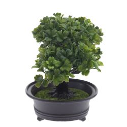 GAEM Цветочная композиция "Бонсай", L32 W13 H19 см