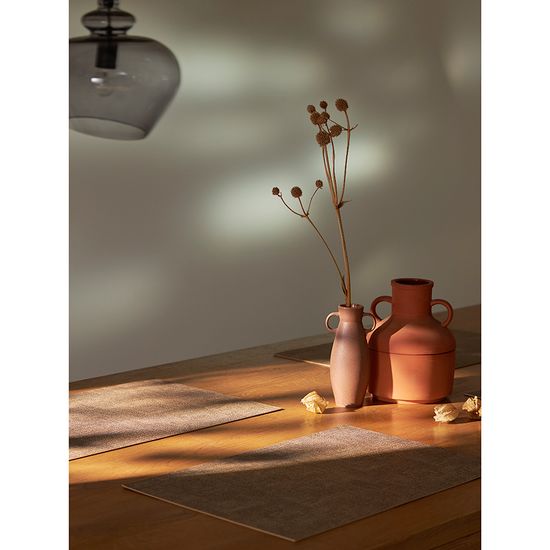 Набор из 4-х сервировочных салфеток leanera, 30х45 см, песочные